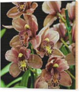 Orchid Flowers Wood Print