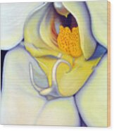 Orchid Mouth Wood Print