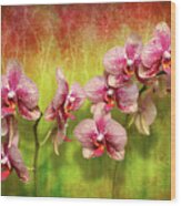 Orchid - Phalaenopsis - Simply A Delight Wood Print