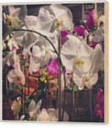 Orchids In The Store Wood Print
