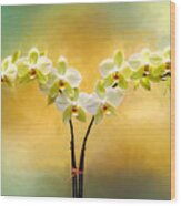 Delicate Orchids Wood Print