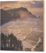 Oregon Coast Mist Wood Print