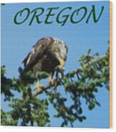 Oregon Eagle With Bird Wood Print
