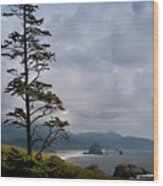 Oregon Ocean Vista Wood Print