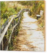 Orr Bog Walk Wood Print