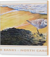 Outer Banks Sanderling Wood Print