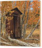 Outhouse In The Aspens Wood Print
