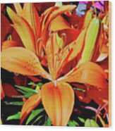 Outstanding Orange Tiger Lilies Wood Print