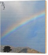 Over The Rainbow 1 Wood Print