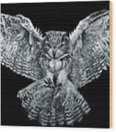 Owl 1 Wood Print