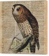 Owl Vintage Illustration Over Old Encyclopedia Page Wood Print