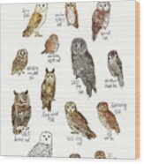 Owls Wood Print