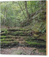 Ozark Creek Wood Print