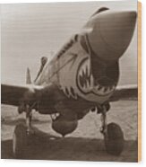 P-40 Warhawk - World War 2 Wood Print