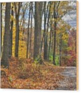 Pa Country Roads - Autumn Colorfest No. 3 - Fire In The Woods - Northumberland County Wood Print