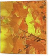 Painted Autumn Leaves Wood Print