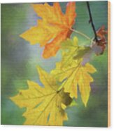 Painted Autumn Leaves Wood Print
