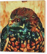 Painted Burrowing Owl Wood Print