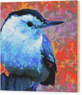 Painted White Breasted Nuthatch Wood Print