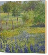 Painting Of Texas Bluebonnets Wood Print