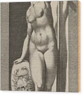 Pallas Athena Wood Print