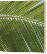 Palm Branch Smooth Wood Print