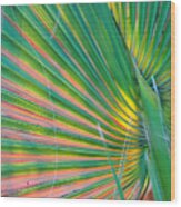 Palm Colors Wood Print