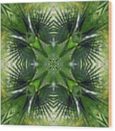 Palm Frond Kaleidoscope Wood Print
