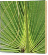 Palm Leaf Wood Print