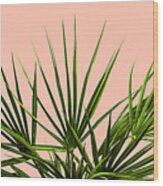 Palm Life - Pastel Wood Print