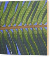 Palm Stripes Wood Print