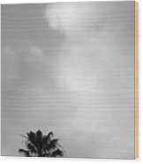 Palm Tree And Clouds Wood Print