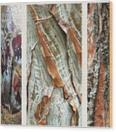 Palm Tree Bark Triptych Wood Print