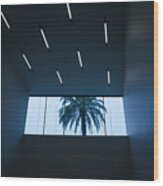 Palm Tree Through Window Wood Print