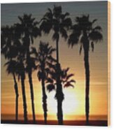 Palm Treescape At Sunset Wood Print