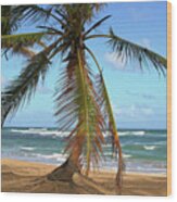Palms And Sand Wood Print