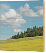 Palouse Treeline Wood Print