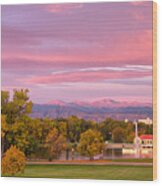Panorama Shot Of Denver Skyline And City Park At Sunrise Wood Print