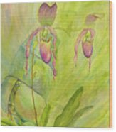 Paphiopedilum Pollination-where Is The Fly? Wood Print
