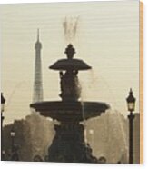 Paris Fountain In Sepia Wood Print
