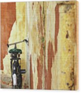 Parked Bicycle Wood Print