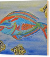 Parrotfish And Butterflies Wood Print