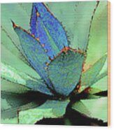 Parry Agave-2 Wood Print