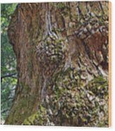 Party On The Tree Trunk Wood Print
