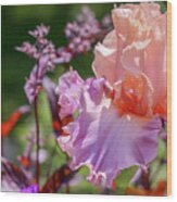 Pastel Iris Wood Print