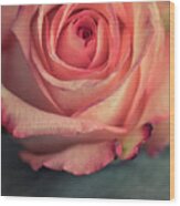 Pastel Pink Rose Wood Print