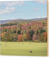 Pasture In The Fall Wood Print