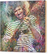 Pat Metheny Wood Print