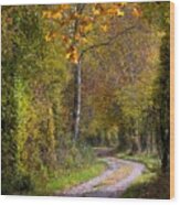 Path Through Autumn Forest Wood Print