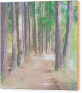 Path To Orcas Wood Print